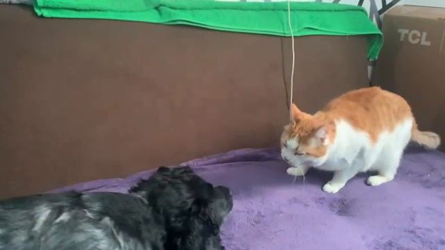 1000037023.mp4