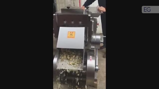 Машина для резки корней WQJ-200