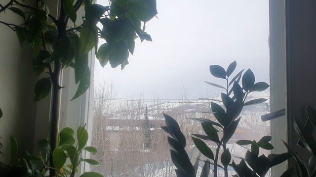 Время