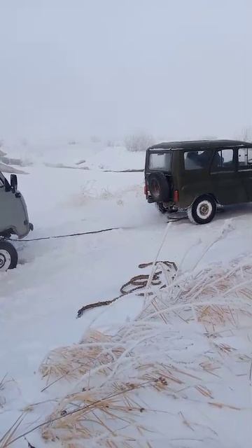 VID-20250106-WA0067