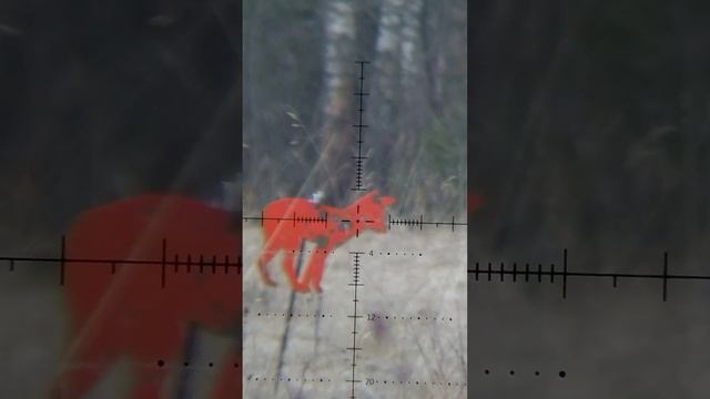 Пристрелка на 100 метров PCP винтовки Storm Goliath Magnum Bullpup 5,5 мм