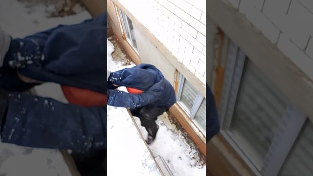достаëм сквиш друга