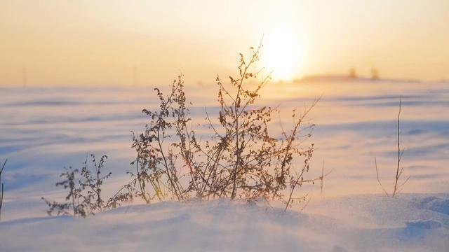 Зимняя Природа Планеты Земля