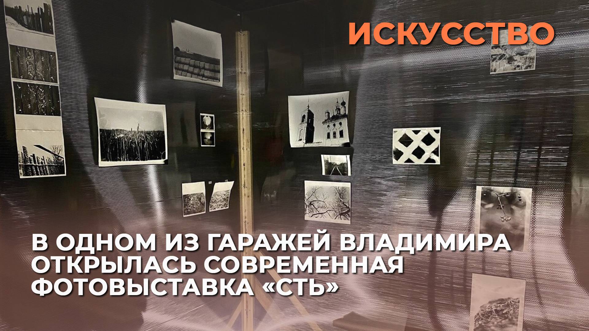 В одном из гаражей Владимира открылась современная фотовыставка «СТЬ»