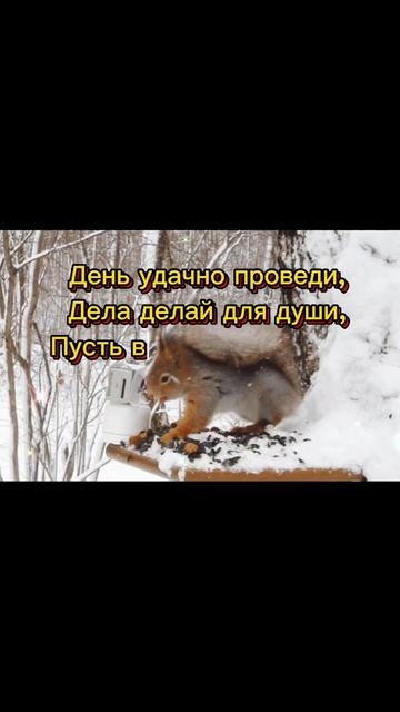 Добрый день!