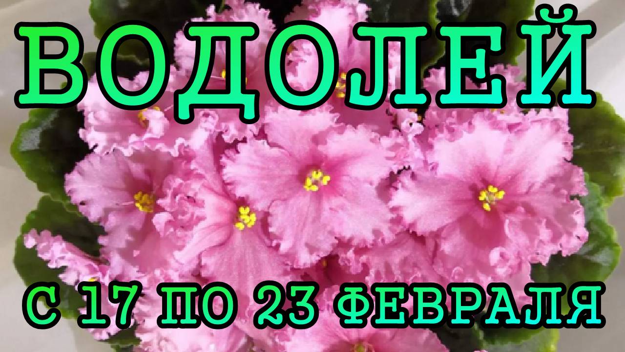 ВОДОЛЕЙ таро прогноз на неделю с 17 по 23 ФЕВРАЛЯ 2025 года.