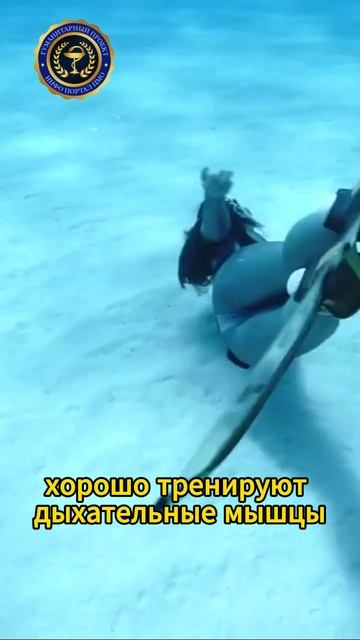 "Сердце океана: приключение под водой" 🌍💙