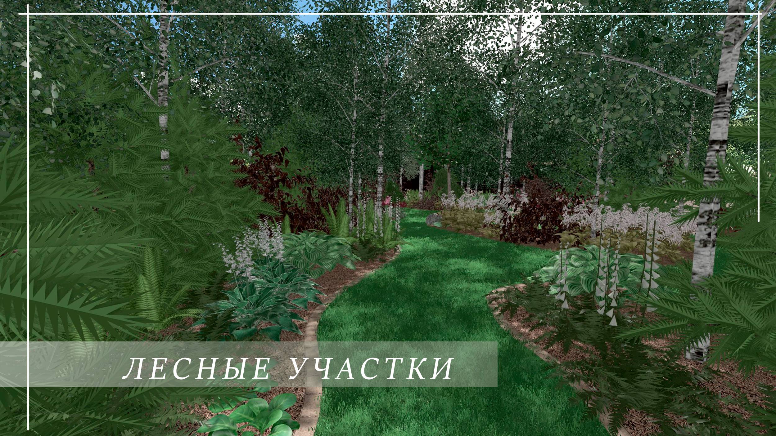 Ландшафтный дизайн.   ЛЕСНЫЕ Участки