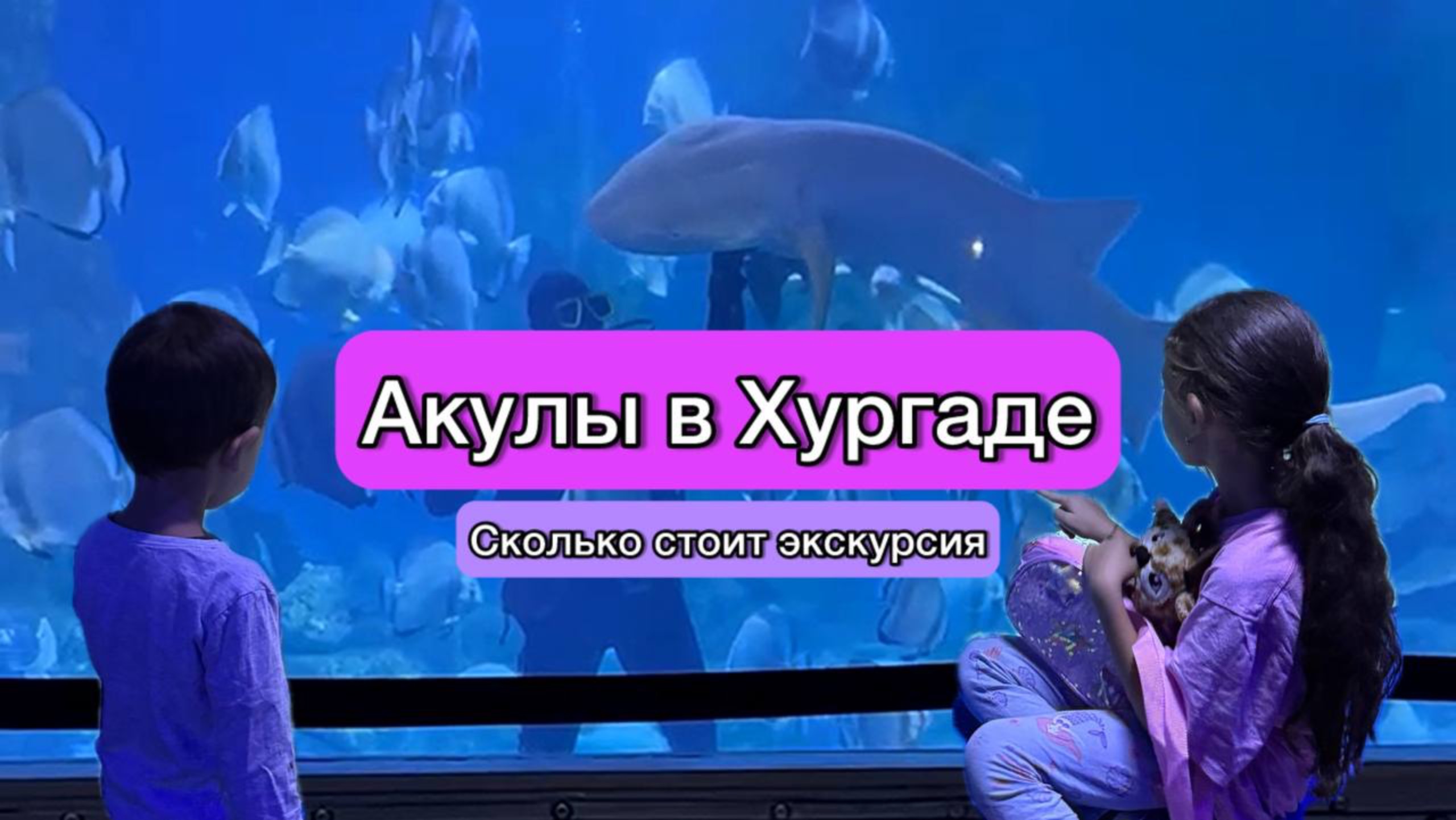 Акулы в Хургаде 🦈 (и не только) Мы посетили Гранд Аквариум и были ошарашены! 😱