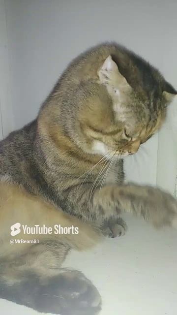 Мудрая жена.mp4