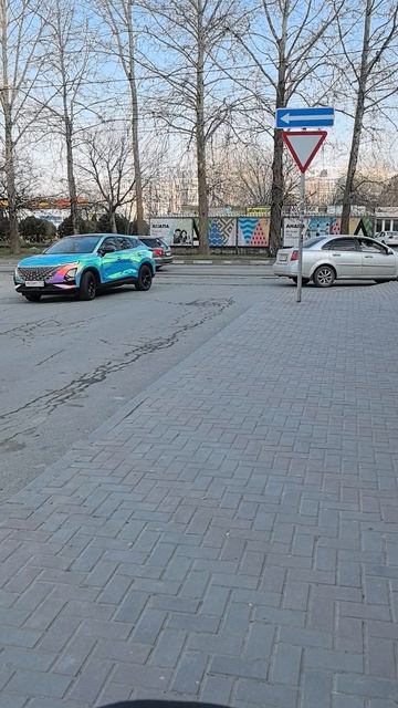 Автомобиль необычной окраски