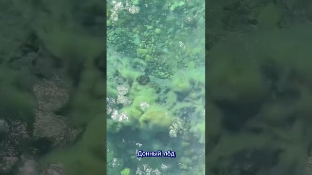 Горный Алтай зимой.