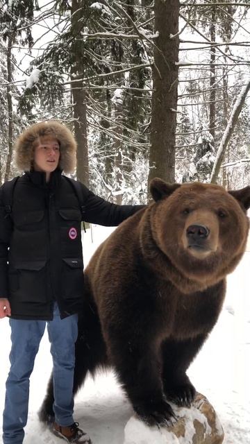 Подружился с медведем в лесу