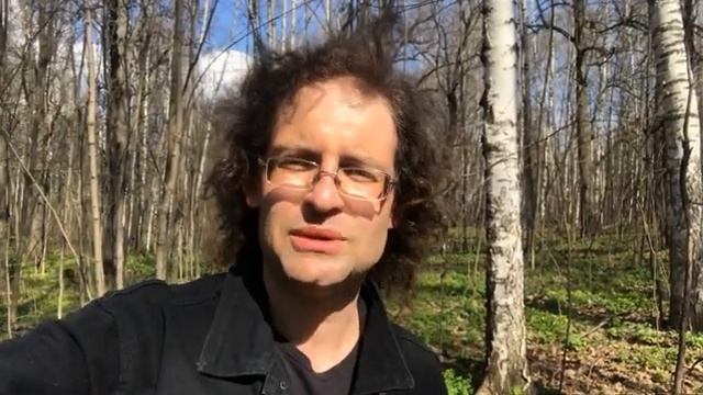 Walking in the woods