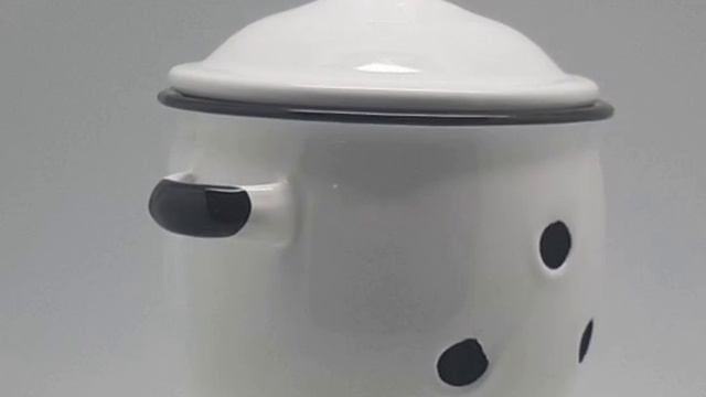 20250205_171709 (online-video-cutter.com).mp4