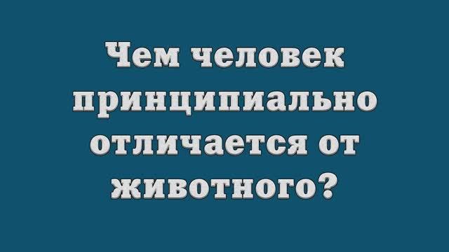 Чем человек принципиально отличается от животного_
