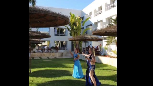 Festival Eastern Euphoria 💃 #love #video #shorts #fun #show #bellydance #dance #reels