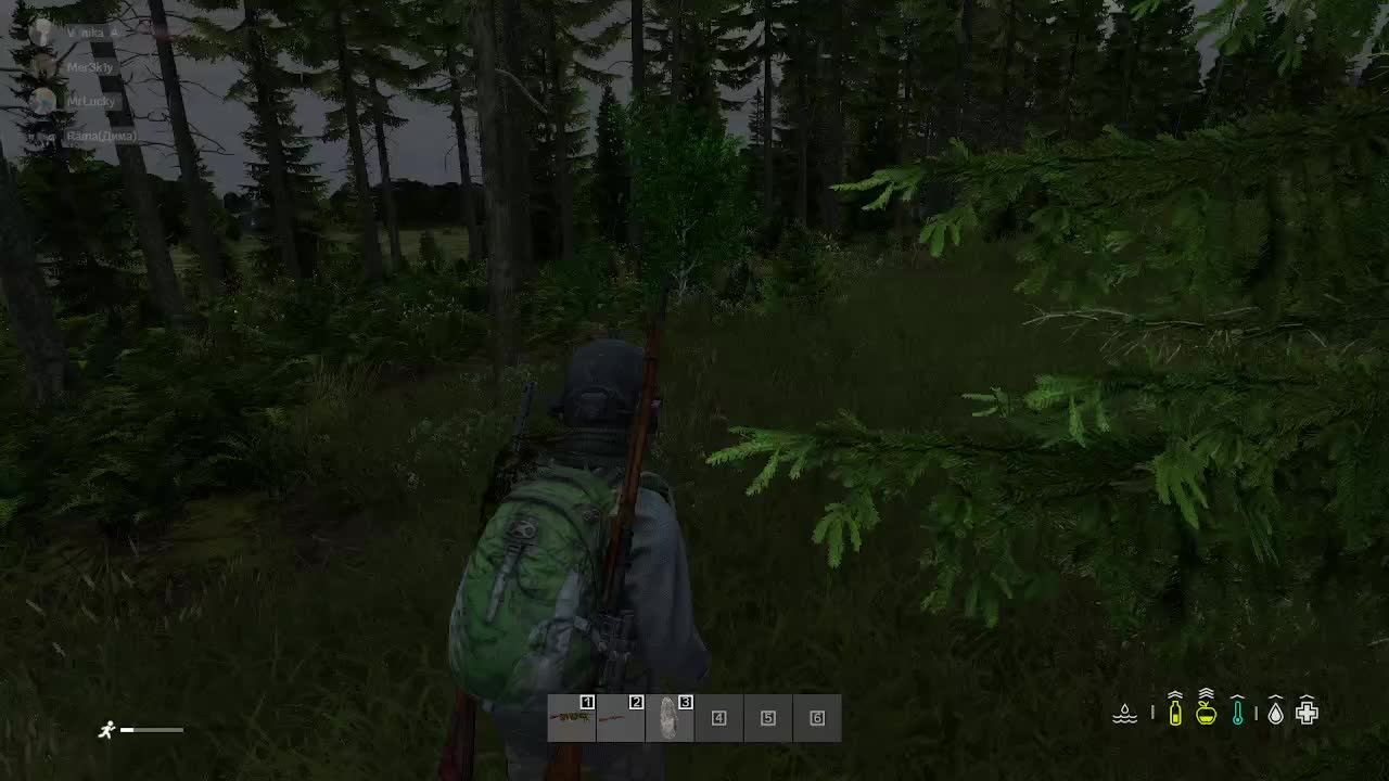 DAYZ