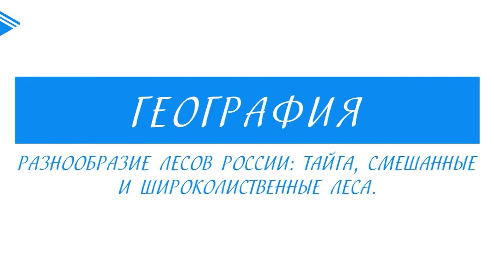 8 класс - География - Разнообразие лесов России_ тайга, смешанные и широколиственные леса