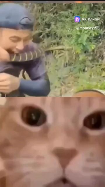 1000012283.mp4