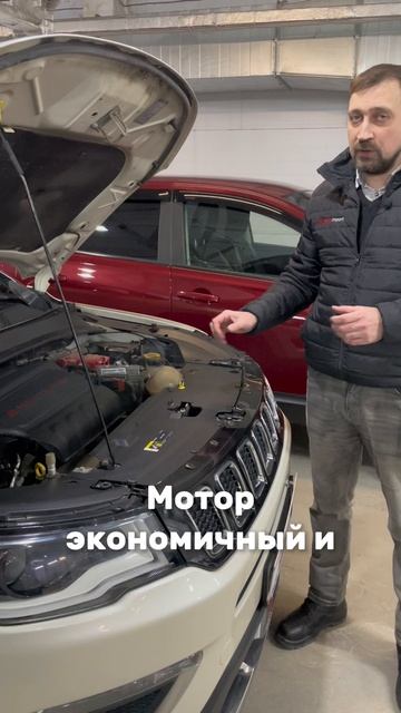 4WD, автомат, понижайка и это не Витара! 8-903-954-00-03 | РДМ-Импорт #купитьавтоновосибирск