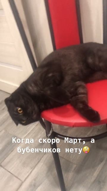 Тигр#страдает