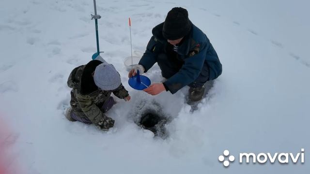 за щукой на пруд в любую погоду