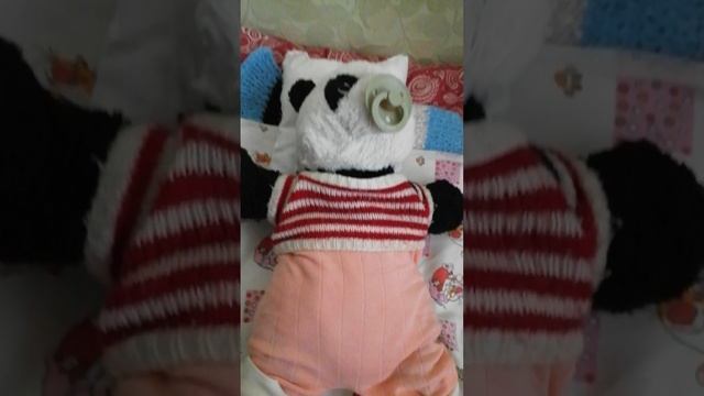 VID_20250213_151013.mp4
