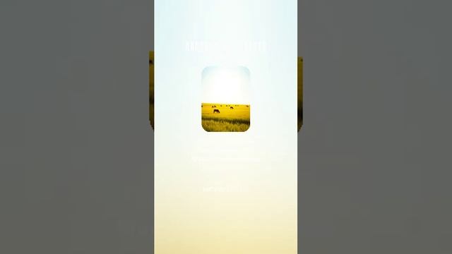 Поднимается Россия. Стихи Евгения Щербакова, музыка и исполнение СУНО