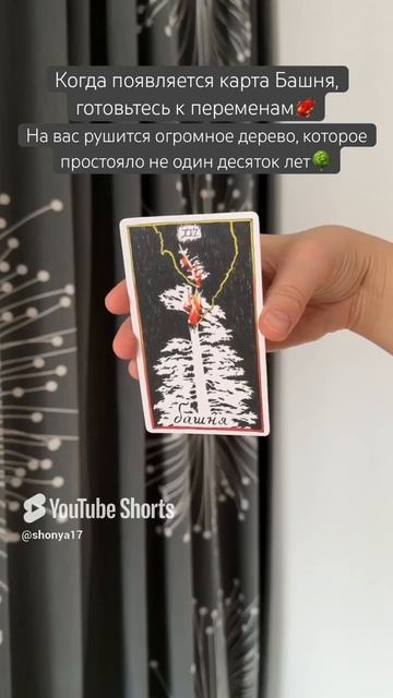 💥#картадня #cardoftheday #таро #tarot #psychology #таропрогноз #совет