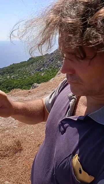 VID_20240802_144616