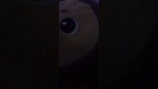 смешные новости