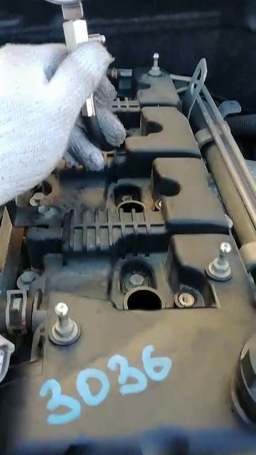 VID-20250130-WA0002