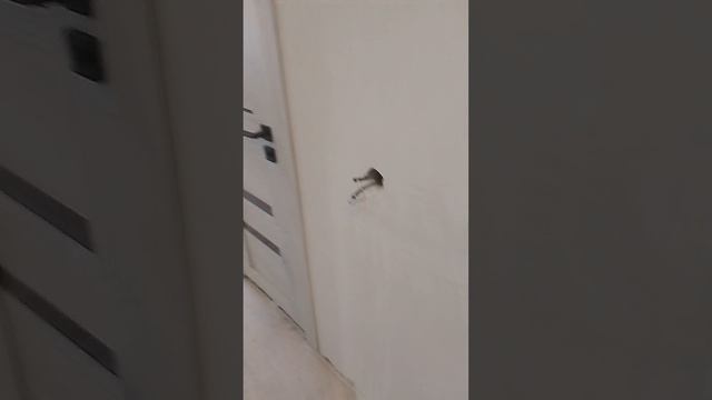 закончил ремонт ванной комнаты и туалета