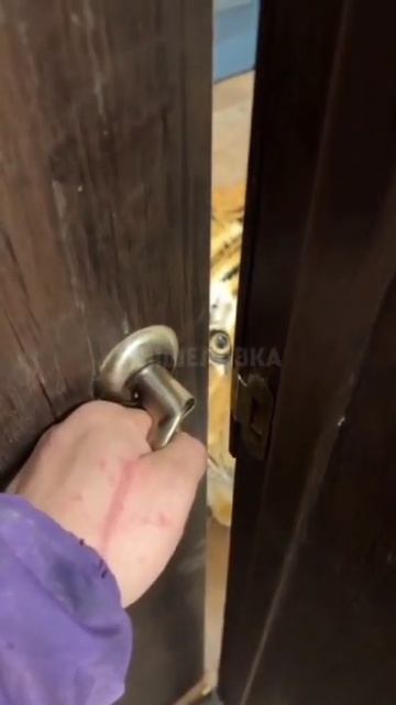 Покарми 🐈 пожалуйста).mp4