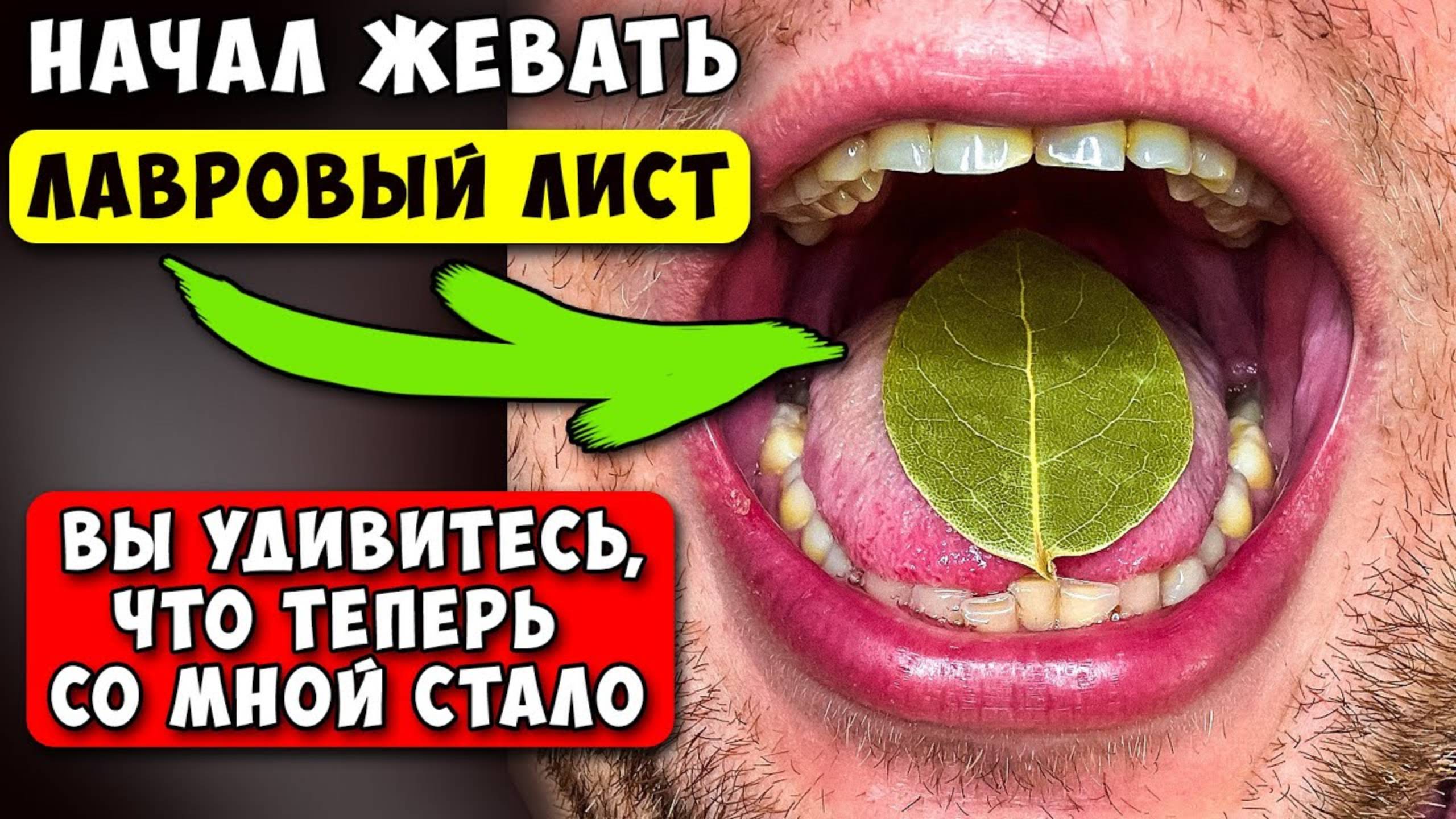 Просто начал ЖЕВАТЬ Лавровый лист по 2-3 мин! Вот что вышло через 7 дней употребления