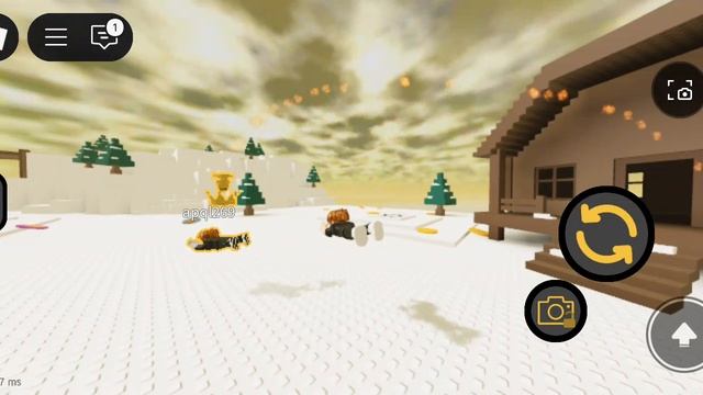 играю в роблоксе в карту драйверы с короной