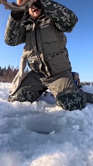 Адреналина полные штаны😁

Реакция у рыбака конечно хорошая)