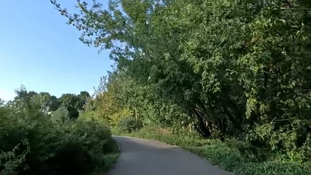 Получив наследство, дочь богача отдала половину бродяге, а едва свекровь с мужем оспорили его в суде
