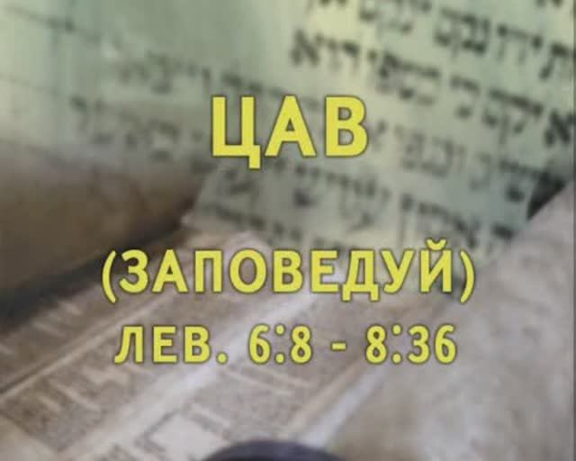 Тора. Пророки. Писания А Болотников Встреча 24