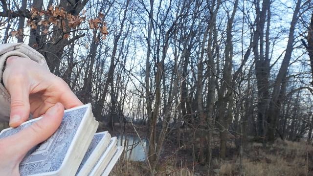 VID_20250213_161443.mp4