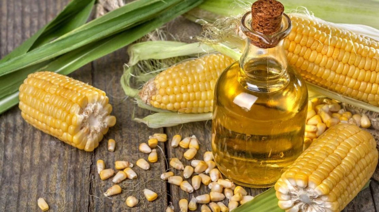 Action 18-08-2024 9-29-13~1