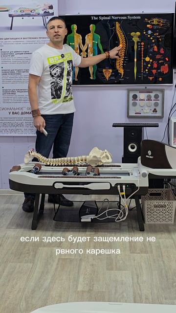Про 8 позвонок грудного отдела #здоровье #нугабест