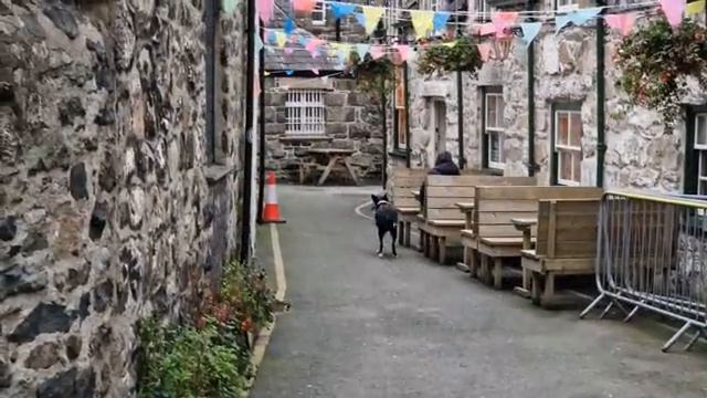 Уэльс страна кельтов дешёвого пива и драконов высоких гор странных названий и тёмных дожд