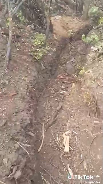 Украинские боевики жалуются на то, что российские войска бьют их с такой силой, что "аж зубы выле...