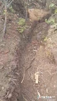 Украинские боевики жалуются на то, что российские войска бьют их с такой силой, что "аж зубы выле...