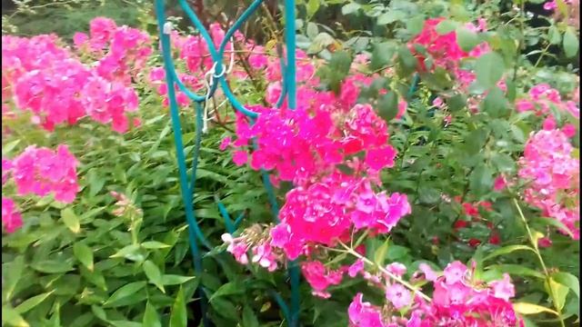 Цветочная зарисовка