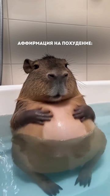 😂 Доброе утро!