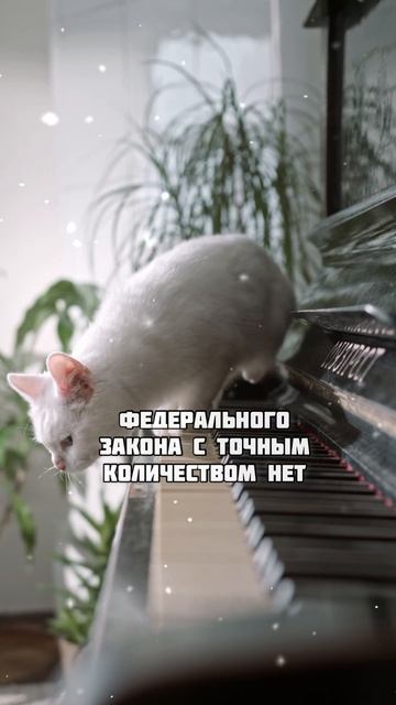 Сколько кошек и собак можно держать в квартире?