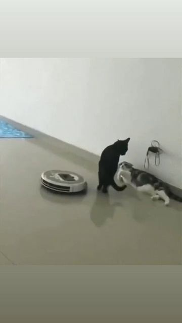 1000073575.mp4